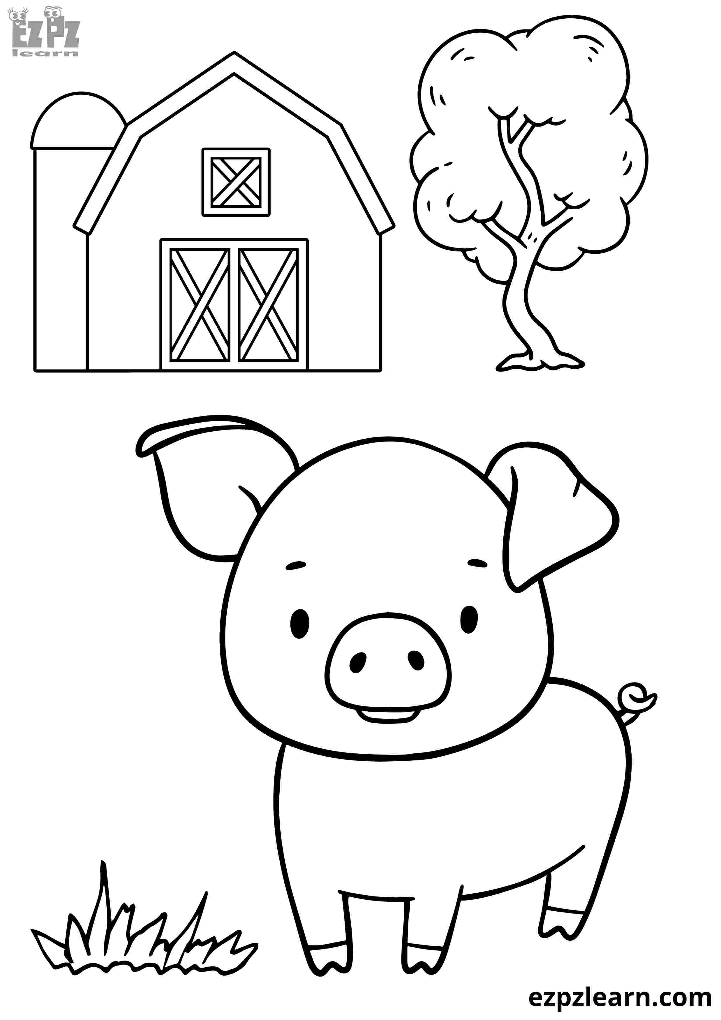 Pig on the Farm